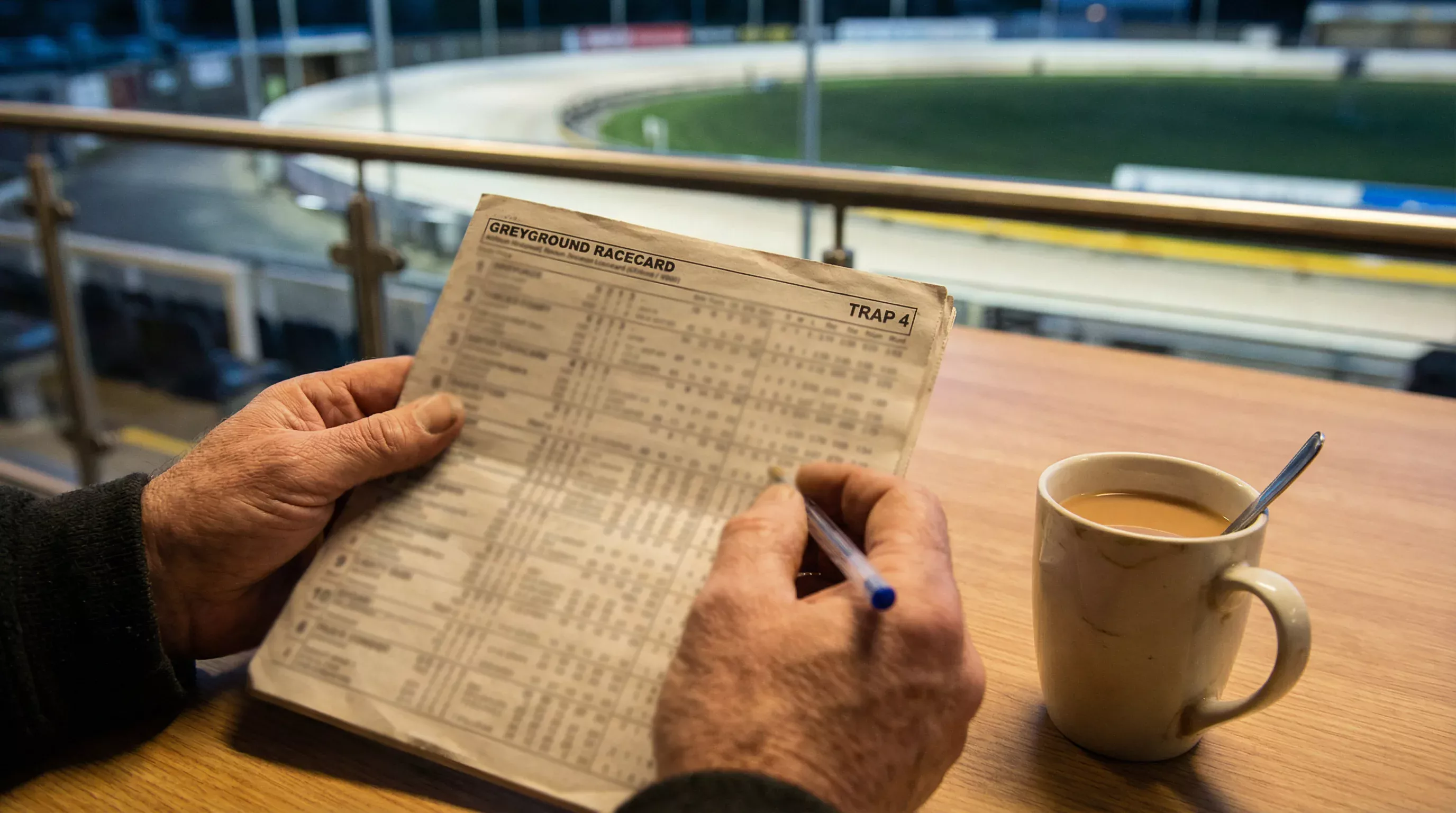 Person studying a printed greyhound racecard with a pen in hand at a trackside table at Sunderland Stadium