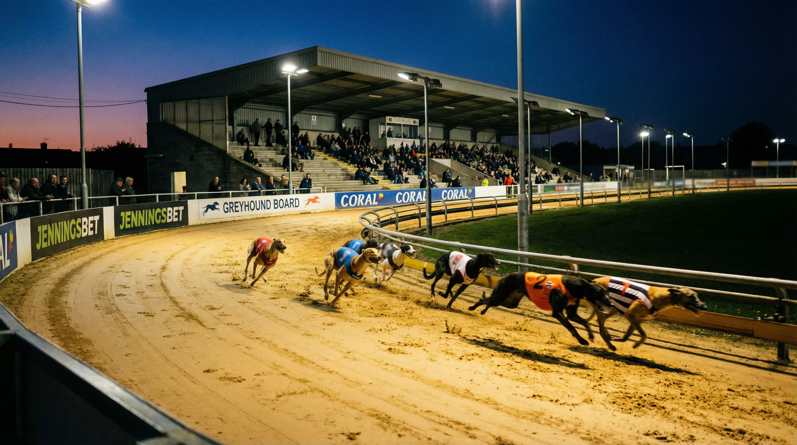 Sunderland Greyhound Stadium floodlit sand track on a busy race night with greyhounds approaching the first bend